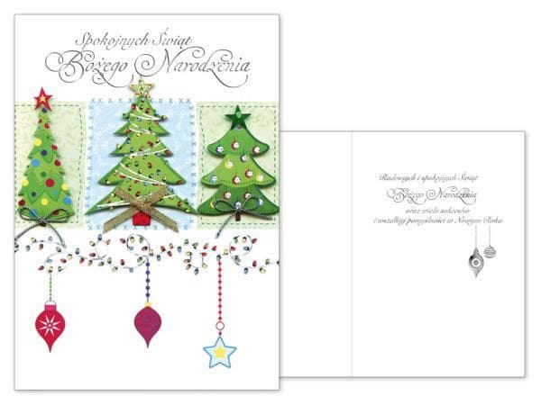 Christmas classified BN CN-519