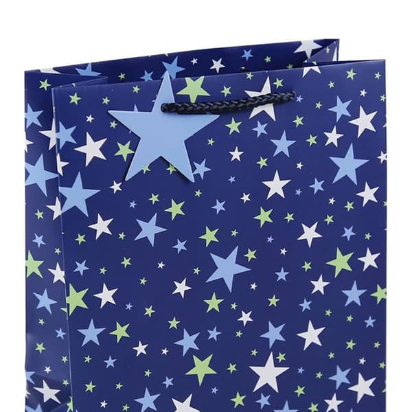 Eurowrap Stars Gift Bag (Pack of 12)