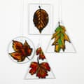 Miniatyrbild 7 av 8: Glasplatta - dia. 7 cm - Rund - 10 st