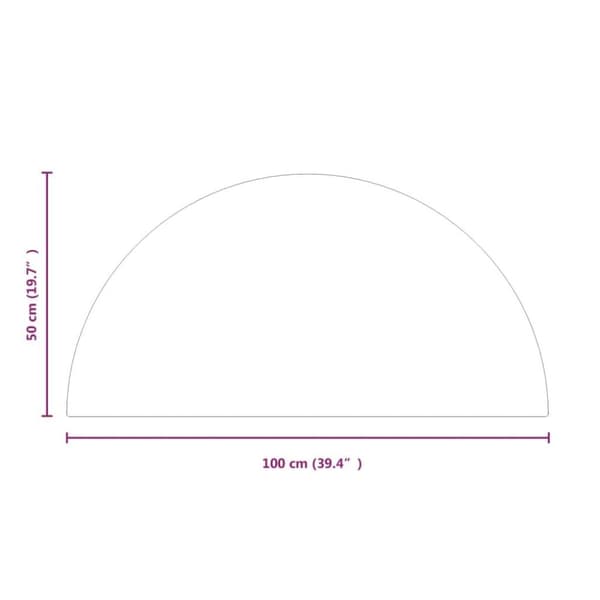 vidaXL Takan lasilevy puolipyöreä 1000x500 mm
