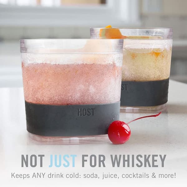 HOST Freeze Cooling Cups for Whiskey, Bourbon, and Scotch, Freezer Gel Chiller Double Wall Tumblers 9 oz (266ml), Set of 2, Grey