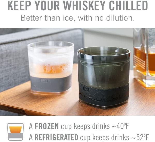 HOST Freeze Cooling Cups for Whiskey, Bourbon, and Scotch, Freezer Gel Chiller Double Wall Tumblers 9 oz (266ml), Set of 2, Grey