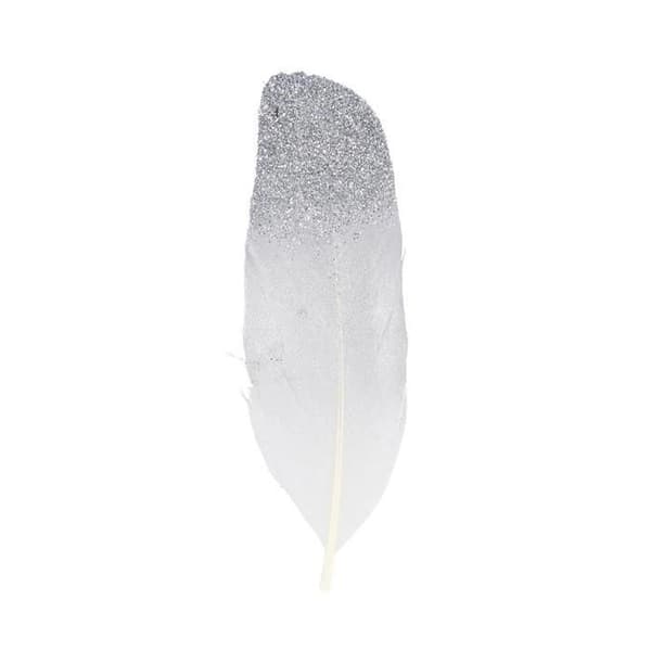 6 silver glitter feathers