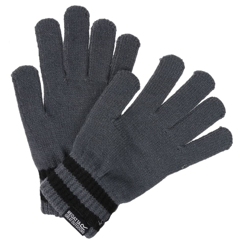 Regatta Mens Davion II Winter Gloves