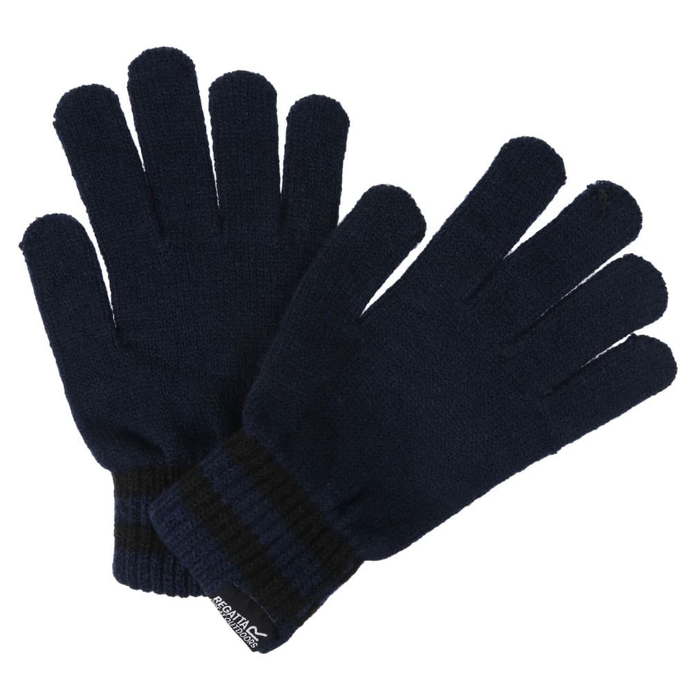 Regatta Mens Davion II Winter Gloves