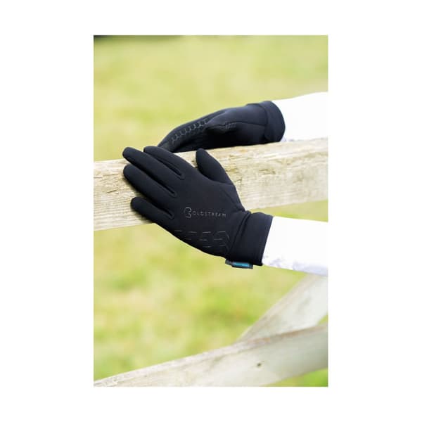 Coldstream Unisex Adult Eccles Stormshield Winter Gloves