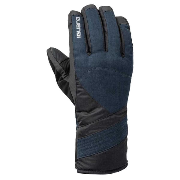 Iguana Mens Richer Logo Ski Gloves