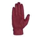 Miniatyrbillede 3 af 3: Trespass Womens/Ladies Pisa Sherpa Winter Gloves