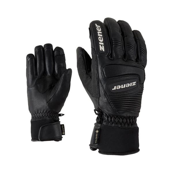 Ziener Guard GTX + Gore grip PR alpina skidhandskar