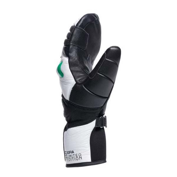 Dainese Snow Ergotek Pro Sofia Goggia Vanter Flerfarvet M Mand