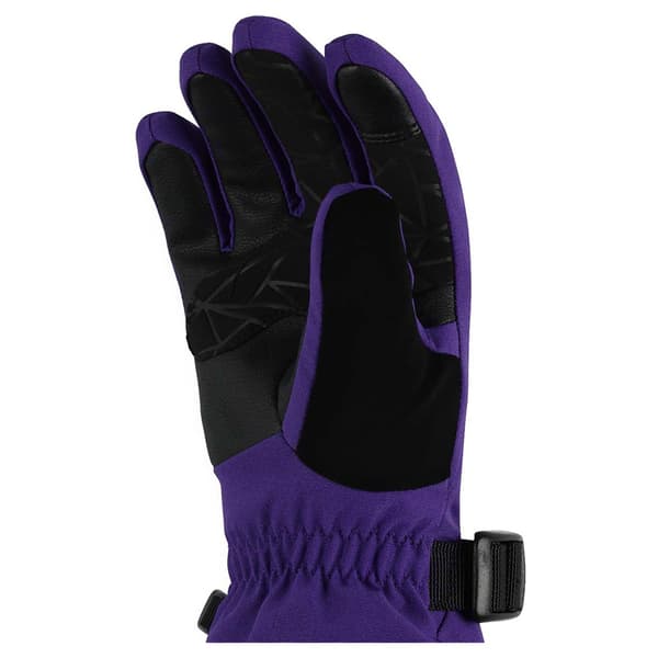 Spyder Synthesis Käsineet Violetti S Poika