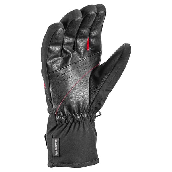 Leki Alpino Vision Goretex Handskar Svart 7.0 Man