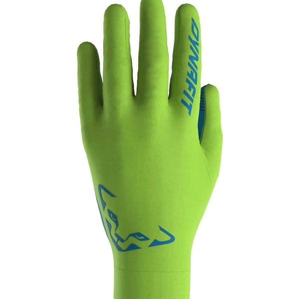 Dynafit Upcycled Light Handskar Grönt S Man