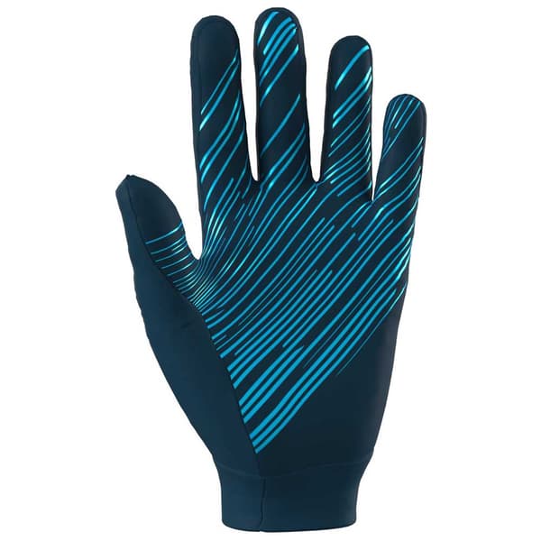 Dynafit Upcycled Speed Handsker Blå XL Mand