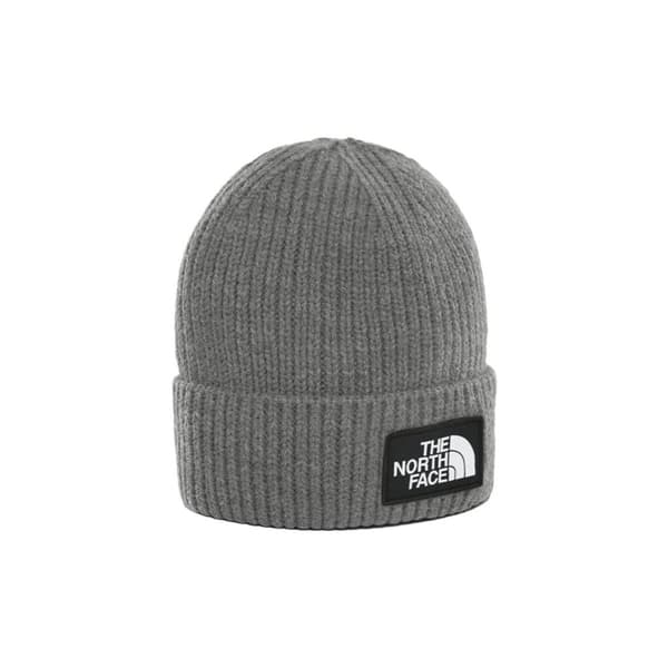 Hatt The North Face Tnf Logo Box Cuffed Beanie NF0A3FJXDYY1 Grå