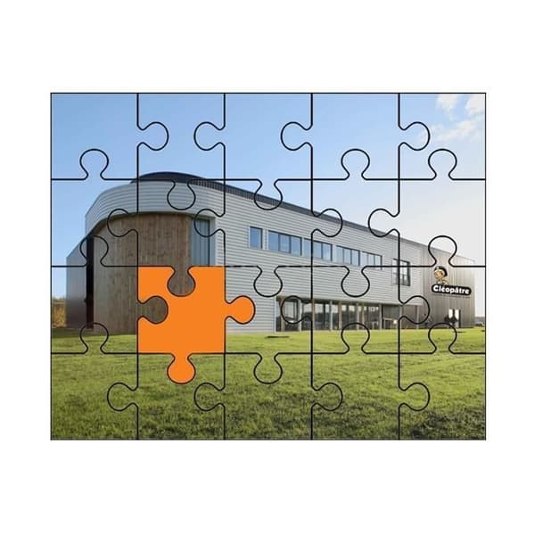 Lim och lack för pussel - CLEOPATRE - Cléo’Puzzle - 250 gr - Transparent - Långvarigt skydd
