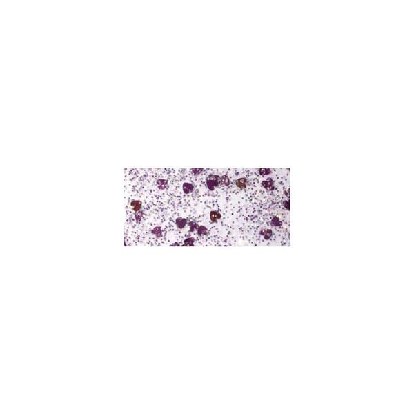 Lim - RAYHER - Glitter - Litet hjärta - Nejlikrosa/silver
