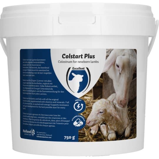 Colstart Plus - Råmjölk för nyfödda lamm, moderlösa lamm, svaga lamm och multiplar