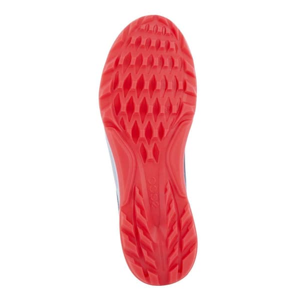 Ecco Golfskor Biom C4 Goretex Blå EU 39