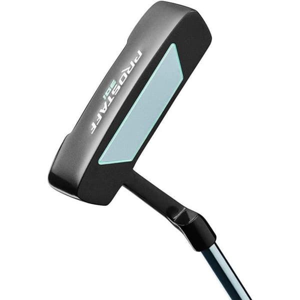 ENSEMBLE PERSONNEL golfväska SGI GRA LRH 1-2 Wilson för kvinnor, UC, flerfärgad
