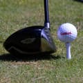 Miniatyrbild 3 av 3: Golfpeggar i plast / Castlepeggar 39 mm (20 st)