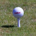 Miniatyrbild 2 av 3: Golfpeggar i plast / Castlepeggar 39 mm (20 st)