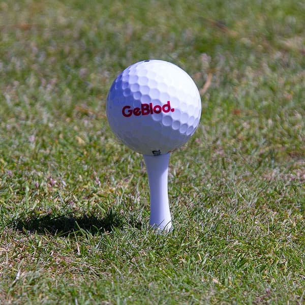 Golfpeggar i plast / Castlepeggar 39 mm (20 st)