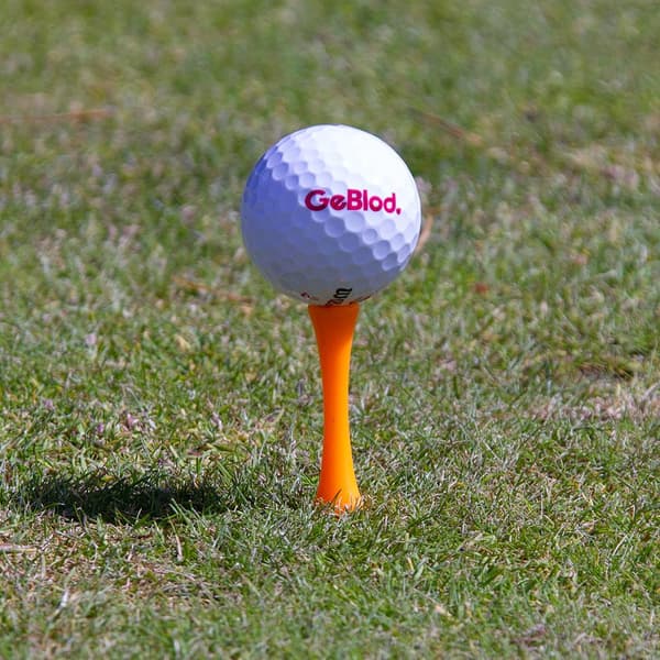 Golfpeggar i plast / Castlepeggar 50 mm (20 st)