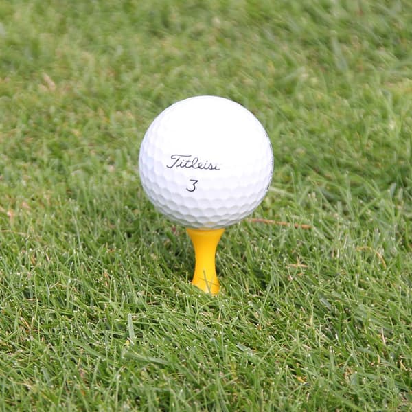 Golfpeggar i plast / Castlepeggar 25 mm (25 st)