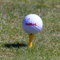 Miniatyrbild 3 av 4: Golfpeggar i plast / Castlepeggar 30 mm (20 st)
