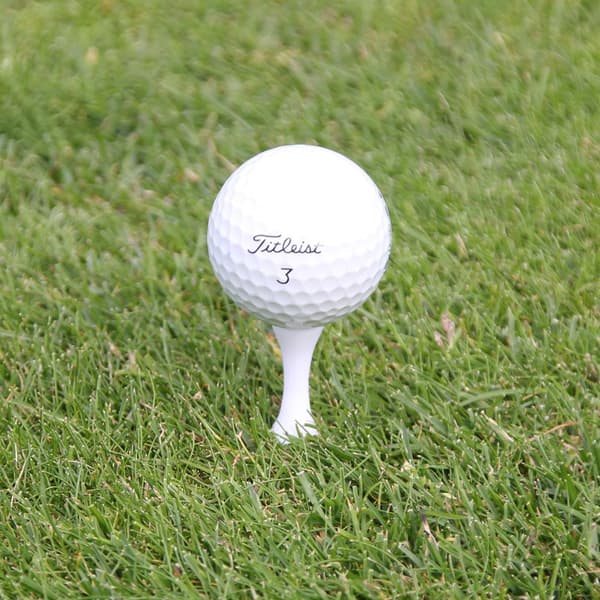 Golfpeggar i plast / Castlepeggar 30 mm (20 st)
