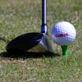 Miniatyrbild 3 av 3: Golfpeggar i plast / Castlepeggar 23 mm (25 st)