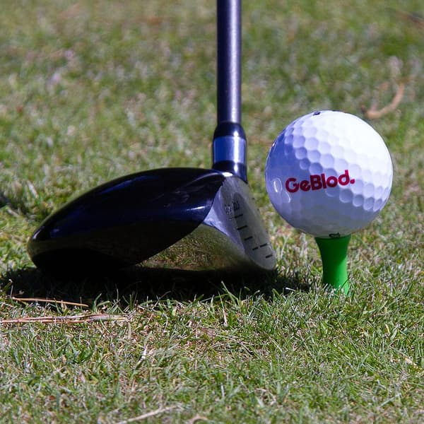 Golfpeggar i plast / Castlepeggar 23 mm (25 st)