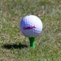 Miniatyrbild 2 av 3: Golfpeggar i plast / Castlepeggar 23 mm (25 st)