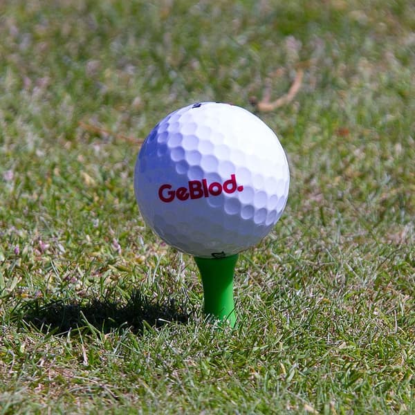 Golfpeggar i plast / Castlepeggar 23 mm (25 st)
