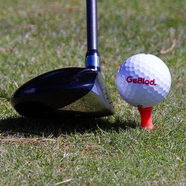Castle Golfpeggar i plast / Castlepeggar 50 mm (20 st)