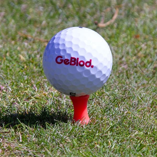 Castle Golfpeggar i plast / Castlepeggar 50 mm (20 st)