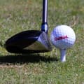 Miniatyrbild 3 av 3: Golfpeggar i plast / Castlepeggar 24 mm (20 st)