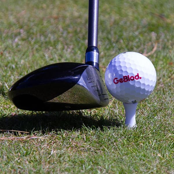 Golfpeggar i plast / Castlepeggar 24 mm (20 st)