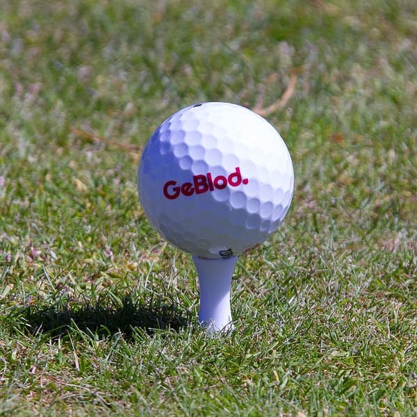 Golfpeggar i plast / Castlepeggar 24 mm (20 st)