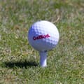Miniatyrbild 4 av 4: Golfpeggar i plast / Castlepeggar 24 mm (40 st)