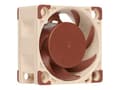 Miniatyrbilde 1 av 5: Noctua NF-A4x20 PWM - Kabinettvifte - 40 mm