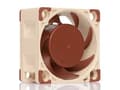 Miniatyrbilde 1 av 5: Noctua NF-A4x20 5V - Kabinettvifte - 40 mm
