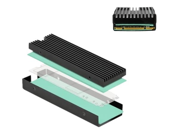 Delock - Heatsink for solid state disk - svart Sort