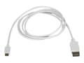 Miniatyrbild 4 av 5: StarTech.com 1,8 m USB-C till DisplayPort-kabel - 4K 60Hz - Vit