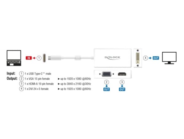 Delock - Extern videoadapter - USB-C - DVI, HDMI, VGA - vit