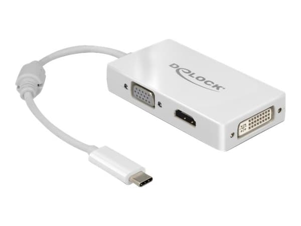Delock - Extern videoadapter - USB-C - DVI, HDMI, VGA - vit