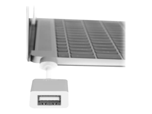 Moshi - USB-adapter - 24 pin USB-C (hane) vändbar till USB typ A (hona) - USB 3.1 Gen 1 - 3 A - silver