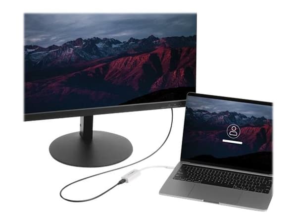 StarTech.com CDP2MDP USB grafisk kobling 3840 x 2160 piksler Hvit