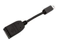 PNY - DisplayPort-adapter - Mini DisplayPort til DisplayPort - svart